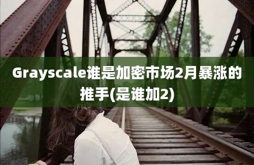 Grayscale谁是加密市场2月暴涨的推手(是谁加2)