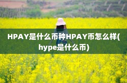 HPAY是什么币种HPAY币怎么样(hype是什么币)