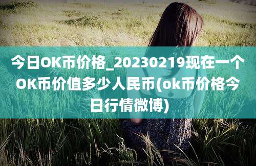 今日OK币价格_20230219现在一个OK币价值多少人民币(ok币价格今日行情微博)