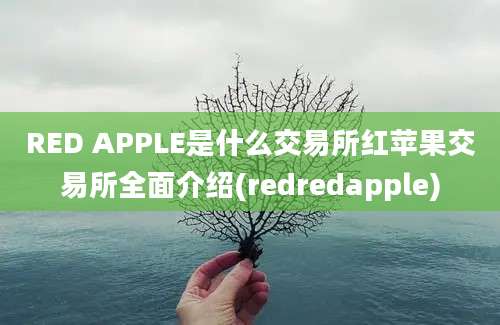 RED APPLE是什么交易所红苹果交易所全面介绍(redredapple)