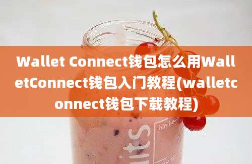 Wallet Connect钱包怎么用WalletConnect钱包入门教程(walletconnect钱包下载教程)