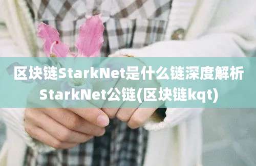 区块链StarkNet是什么链深度解析StarkNet公链(区块链kqt)