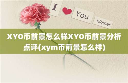 XYO币前景怎么样XYO币前景分析点评(xym币前景怎么样)