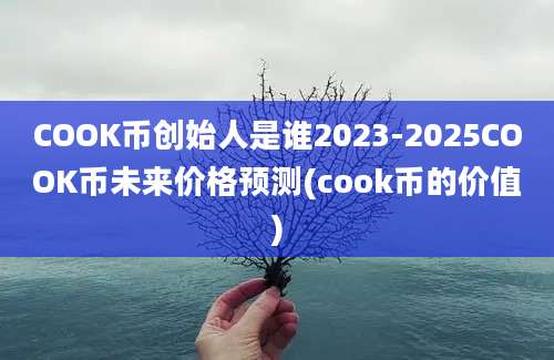 COOK币创始人是谁2023-2025COOK币未来价格预测(cook币的价值)