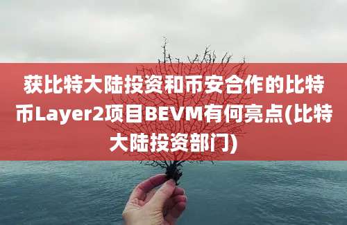 获比特大陆投资和币安合作的比特币Layer2项目BEVM有何亮点(比特大陆投资部门)