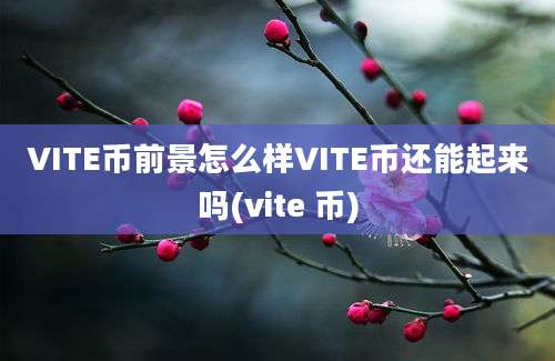 VITE币前景怎么样VITE币还能起来吗(vite 币)