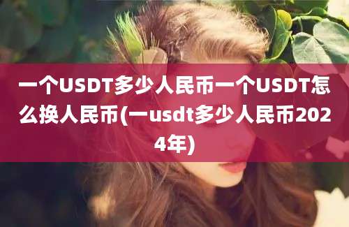 一个USDT多少人民币一个USDT怎么换人民币(一usdt多少人民币2024年)