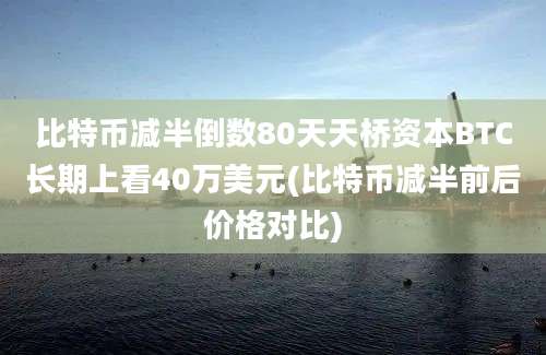 比特币减半倒数80天天桥资本BTC长期上看40万美元(比特币减半前后价格对比)