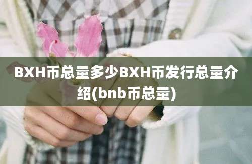 BXH币总量多少BXH币发行总量介绍(bnb币总量)