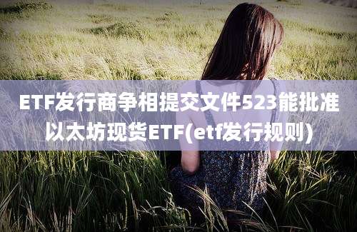 ETF发行商争相提交文件523能批准以太坊现货ETF(etf发行规则)