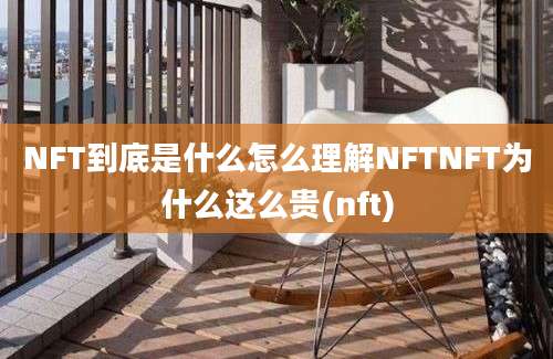 NFT到底是什么怎么理解NFTNFT为什么这么贵(nft)