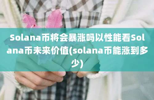 Solana币将会暴涨吗以性能看Solana币未来价值(solana币能涨到多少)