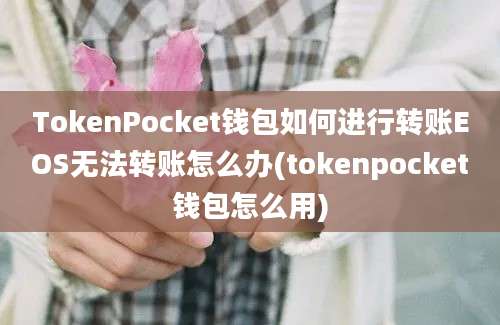 TokenPocket钱包如何进行转账EOS无法转账怎么办(tokenpocket钱包怎么用)