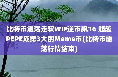 比特币震荡走软WIF逆市飙16 超越PEPE成第3大的Meme币(比特币震荡行情结束)