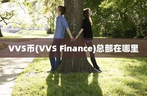 VVS币(VVS Finance)总部在哪里