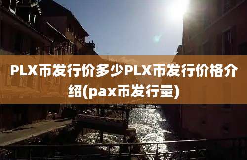 PLX币发行价多少PLX币发行价格介绍(pax币发行量)