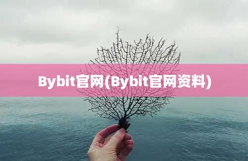 Bybit官网(Bybit官网资料)