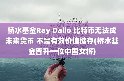 桥水基金Ray Dalio 比特币无法成未来货币 不是有效价值储存(桥水基金晋升一位中国女将)