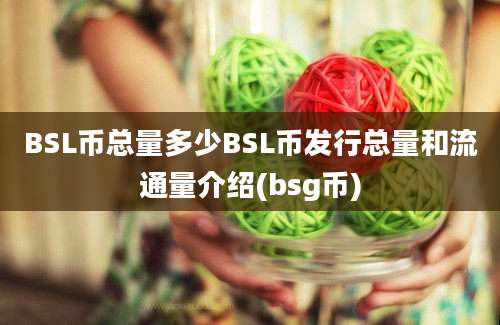 BSL币总量多少BSL币发行总量和流通量介绍(bsg币)