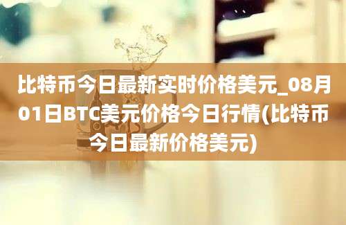 比特币今日最新实时价格美元_08月01日BTC美元价格今日行情(比特币今日最新价格美元)