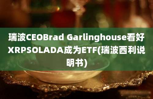 瑞波CEOBrad Garlinghouse看好XRPSOLADA成为ETF(瑞波西利说明书)