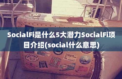 SocialFi是什么5大潜力SocialFi项目介绍(social什么意思)