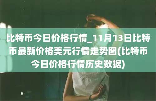 比特币今日价格行情_11月13日比特币最新价格美元行情走势图(比特币今日价格行情历史数据)