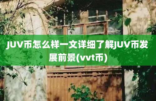 JUV币怎么样一文详细了解JUV币发展前景(vvt币)