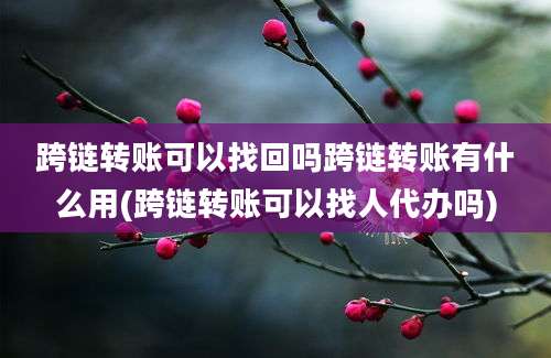 跨链转账可以找回吗跨链转账有什么用(跨链转账可以找人代办吗)