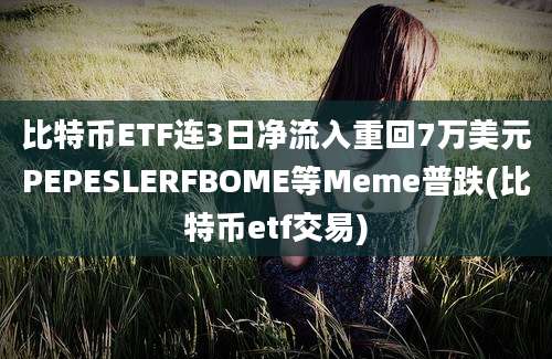 比特币ETF连3日净流入重回7万美元PEPESLERFBOME等Meme普跌(比特币etf交易)