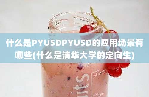 什么是PYUSDPYUSD的应用场景有哪些(什么是清华大学的定向生)