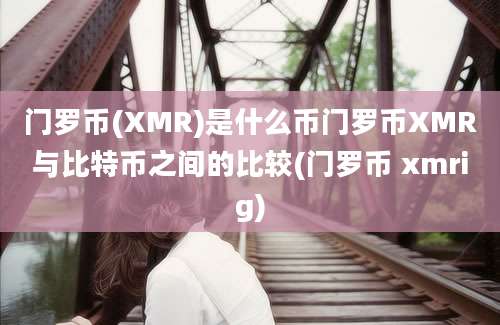 门罗币(XMR)是什么币门罗币XMR与比特币之间的比较(门罗币 xmrig)