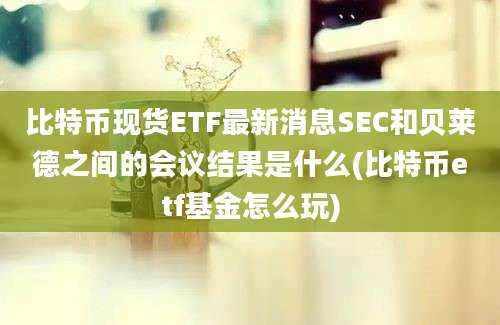 比特币现货ETF最新消息SEC和贝莱德之间的会议结果是什么(比特币etf基金怎么玩)