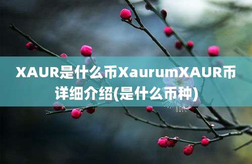 XAUR是什么币XaurumXAUR币详细介绍(是什么币种)