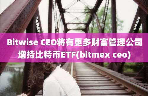 Bitwise CEO将有更多财富管理公司增持比特币ETF(bitmex ceo)