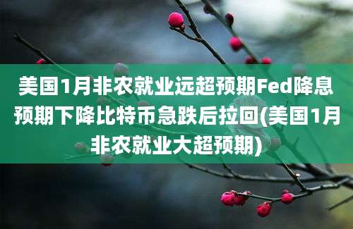 美国1月非农就业远超预期Fed降息预期下降比特币急跌后拉回(美国1月非农就业大超预期)