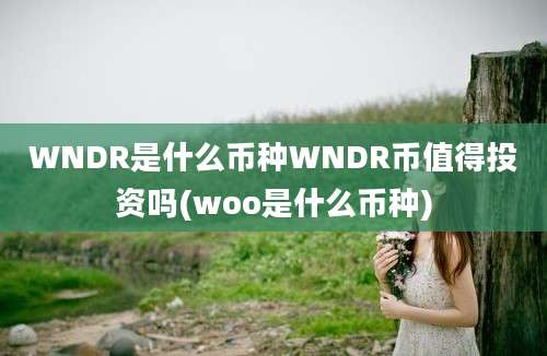 WNDR是什么币种WNDR币值得投资吗(woo是什么币种)