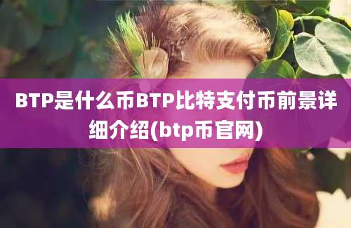 BTP是什么币BTP比特支付币前景详细介绍(btp币官网)