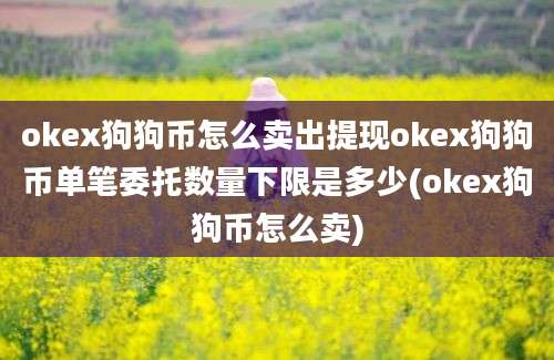 okex狗狗币怎么卖出提现okex狗狗币单笔委托数量下限是多少(okex狗狗币怎么卖)