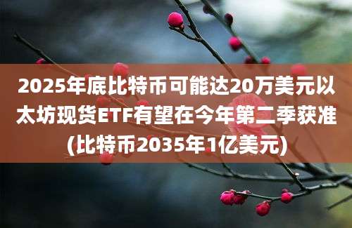 2025年底比特币可能达20万美元以太坊现货ETF有望在今年第二季获准(比特币2035年1亿美元)