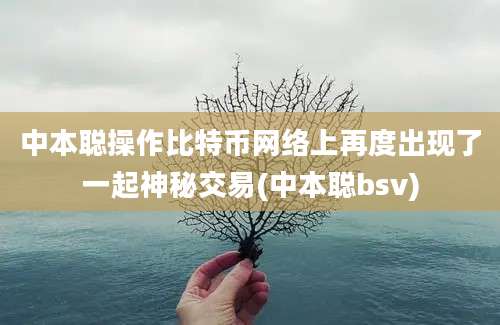 中本聪操作比特币网络上再度出现了一起神秘交易(中本聪bsv)