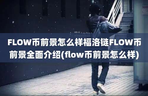 FLOW币前景怎么样福洛链FLOW币前景全面介绍(flow币前景怎么样)