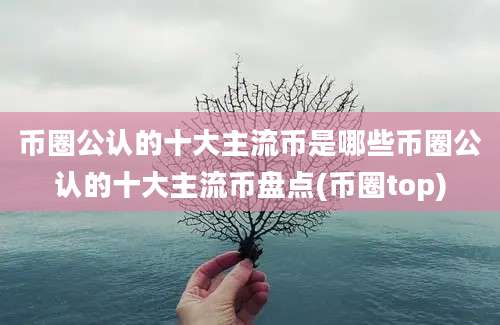 币圈公认的十大主流币是哪些币圈公认的十大主流币盘点(币圈top)