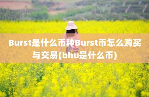 Burst是什么币种Burst币怎么购买与交易(bhu是什么币)