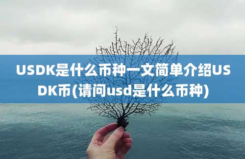 USDK是什么币种一文简单介绍USDK币(请问usd是什么币种)