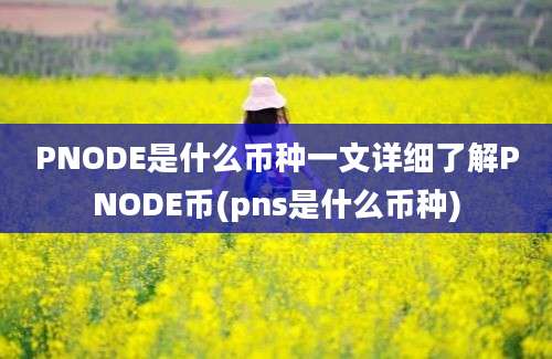 PNODE是什么币种一文详细了解PNODE币(pns是什么币种)