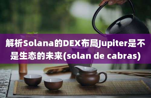 解析Solana的DEX布局Jupiter是不是生态的未来(solan de cabras)