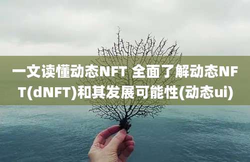 一文读懂动态NFT 全面了解动态NFT(dNFT)和其发展可能性(动态ui)