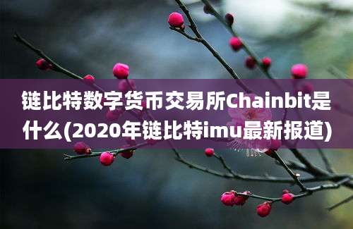 链比特数字货币交易所Chainbit是什么(2020年链比特imu最新报道)