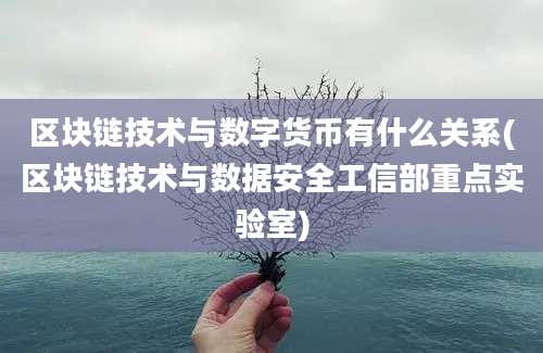 区块链技术与数字货币有什么关系(区块链技术与数据安全工信部重点实验室)